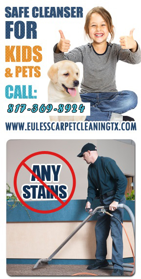 Professional Carpet Stain Removal